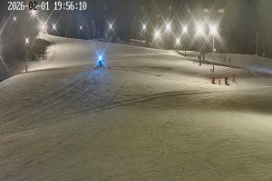 Niedzica  Polana Sosny 