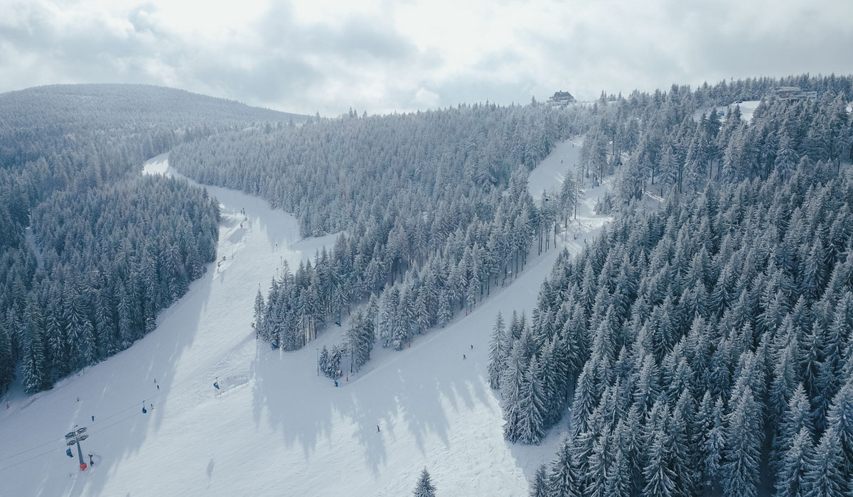 Zieleniec (fot. zieleniec.pl) Zieleniec (fot. zieleniec.pl)