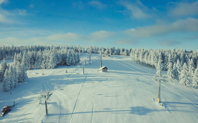 Zieleniec 29  11  2021 (fot. mat prasowe)