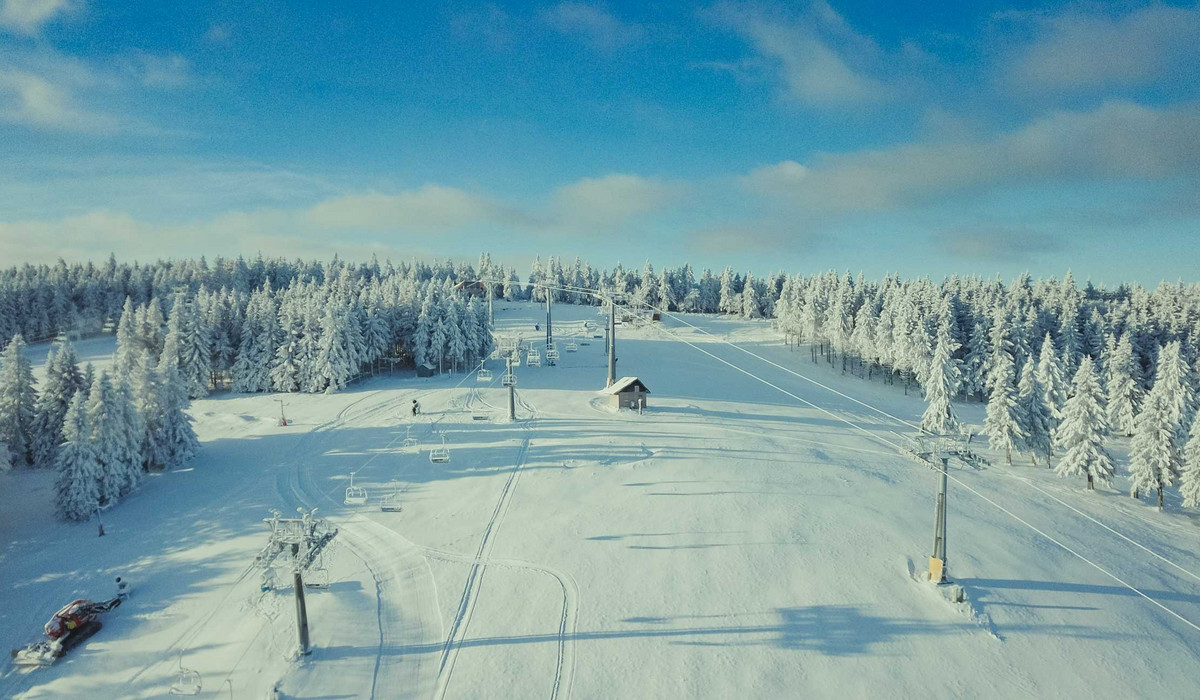 Zieleniec 29  11  2021 (fot. mat prasowe)