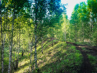 Ajska - jazda po "garbie"