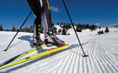 Passo Coe (foto: Giovanni Cavulli)