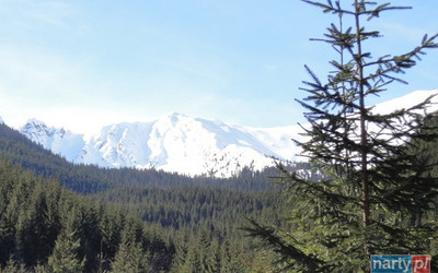 Widok na Tatry (foto: P. Tomczyk)