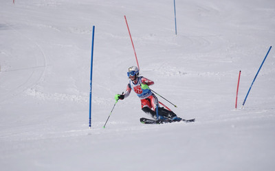 (foto: Zdzisław Chmiel)