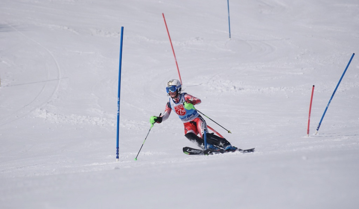 (foto: Zdzisław Chmiel)