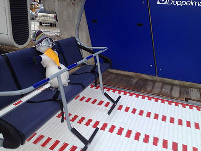 Suche dywan rozbiegowy