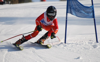 (źródło: www.mozn.pl)