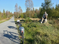 Asfaltowe ścieżki w lesie między Kuźnią Raciborską i Rudą 2
