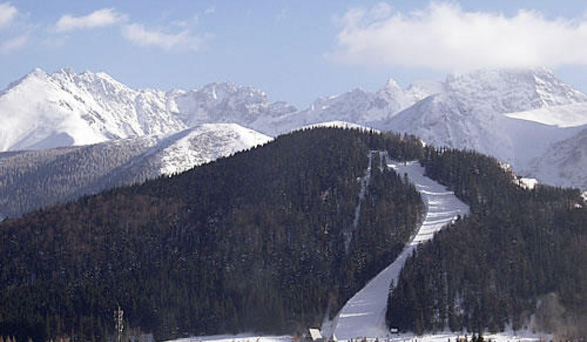 Nosal (foto: nosal.pl)