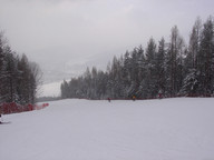 ZA TYM LASKIEM JEST DOLNA STACJA KOLEJKI.