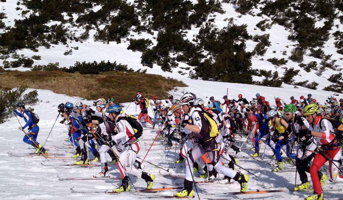 autor: Moniki Strojny