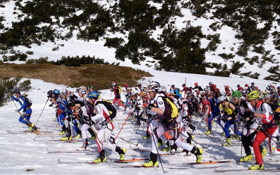 autor: Moniki Strojny