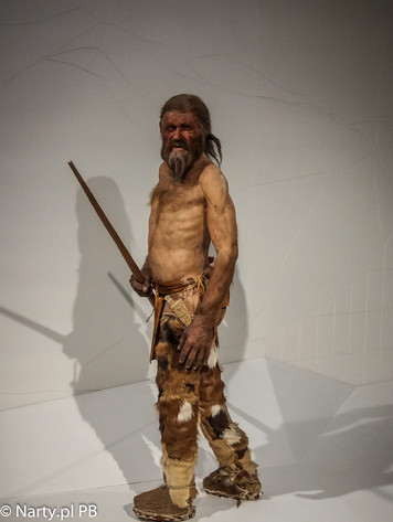 Ötzi - rekonstrukcja wyglądu (foto: PB Narty.pl)