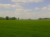 W drodze do Pszczyny- pola