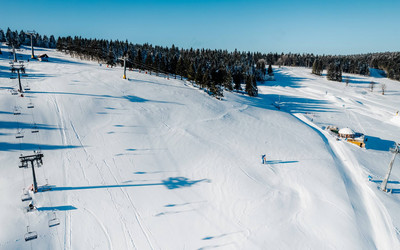 Zieleniec początek grudnia 2024 roku / fot. mat. prasowe