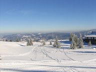 Pierwsze lady założone