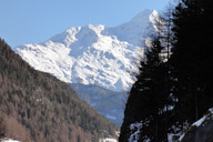 Troche drzew-trochę gór