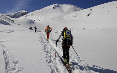 fot. Monika Strojny – Bokami