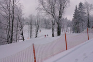 Rzyki - Czarny Gron -  między drzewami