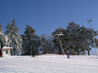 Narciarze podczas zjazdu