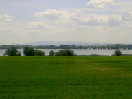 W drodze do Pszczyny- pola 2