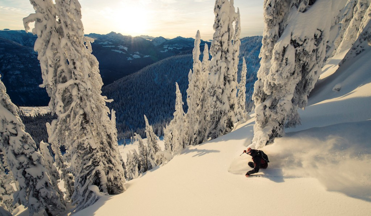 Armada Skis (foto: Armada)