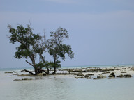 Indie-Andamany-Havelock Island
