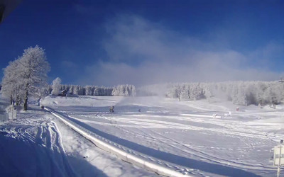 Zieleniec (źródło: kamera online 2021 11 29)