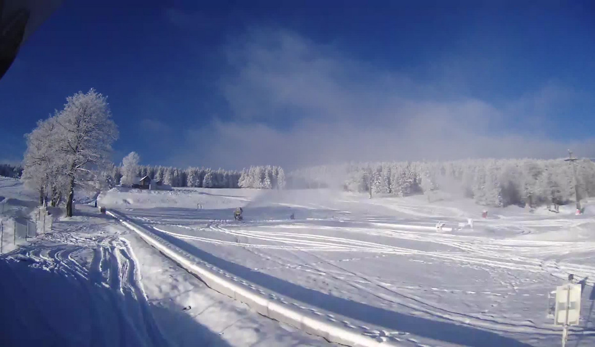 Zieleniec (źródło: kamera online 2021 11 29)