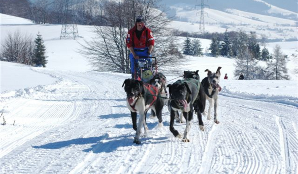Wierchomla Beskidy Quest 2006