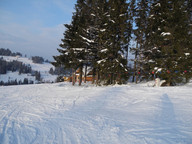 Rusiński- widok na domki przy trasie