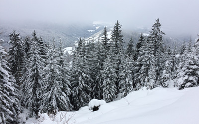 Panorama (foto: D. Biernat)