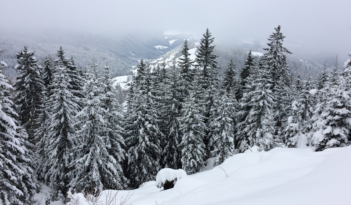 Panorama (foto: D. Biernat)