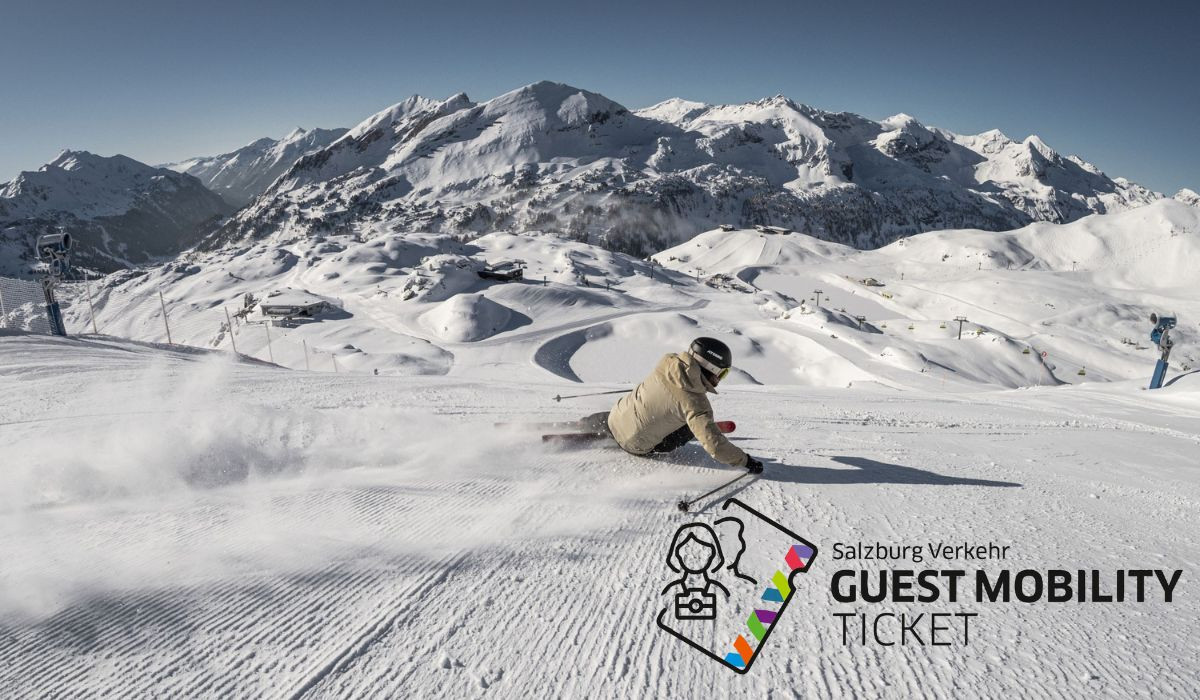  Guest Mobility Ticket