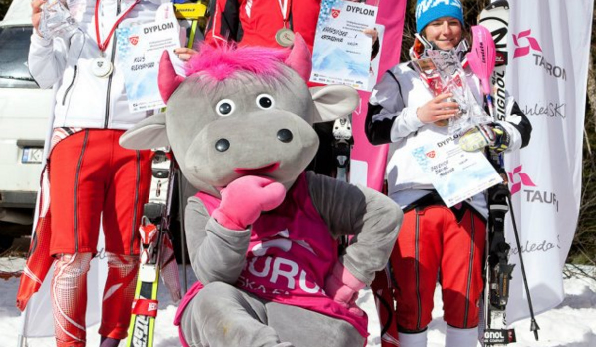 autor: Wiktor Bubniak