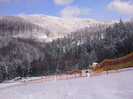 Rzyki - Czarny Gron - za siatką