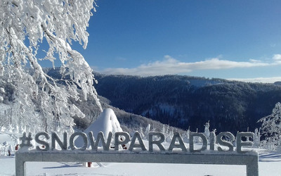 Oszczadnica Wielka Racza (foto: mat. prasowe)