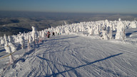 Na niebieskiej trasie (3200 m długości) z Lysej Hory (foto: rokytnice.com)