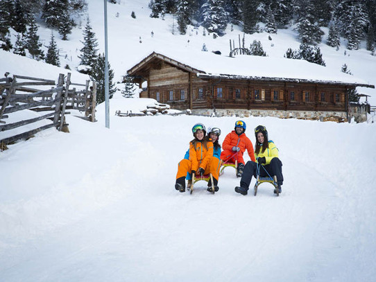 Na sankach w Grieralm (foto: Zillertal Tourismus / J. Rotter) Na sankach w Grieralm (foto: Zillertal Tourismus / J. Rotter)