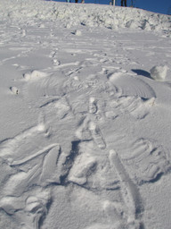 Sylwester Słowacja 2007- Spalena Dolina 2