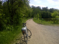 W drodze do Pszczyny- droga