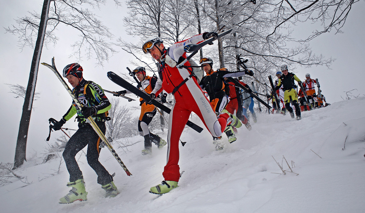 (foto: Adam Golec) (foto: Adam Golec)