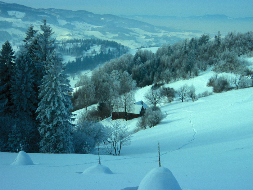 Skitoury na Hali Łabowskiej