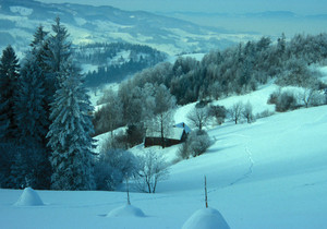 Skitoury na Hali Łabowskiej