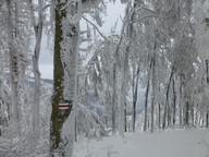 Droga powrotna do wyciągu
