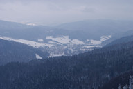 Krajobraz Jaworzyny Krynickiej