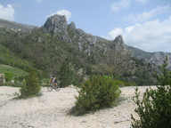 Lazurowe wybrzeże - krzaki na żwirze