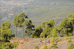 Transvulcania 2012- bieg po grani