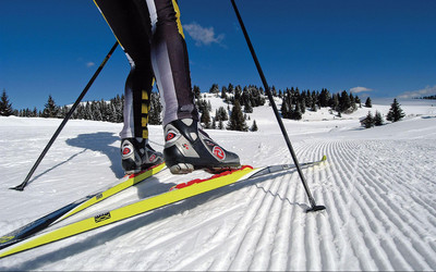 Biegi narciarskie w Trentino (foto: Giovanni Cavulli Trentino Sviluppo - Turismo e Promozione)