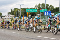 Tour de Pologne. Etap IV-  peleton 2